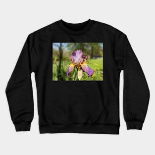 Lavender Iris 10 Crewneck Sweatshirt